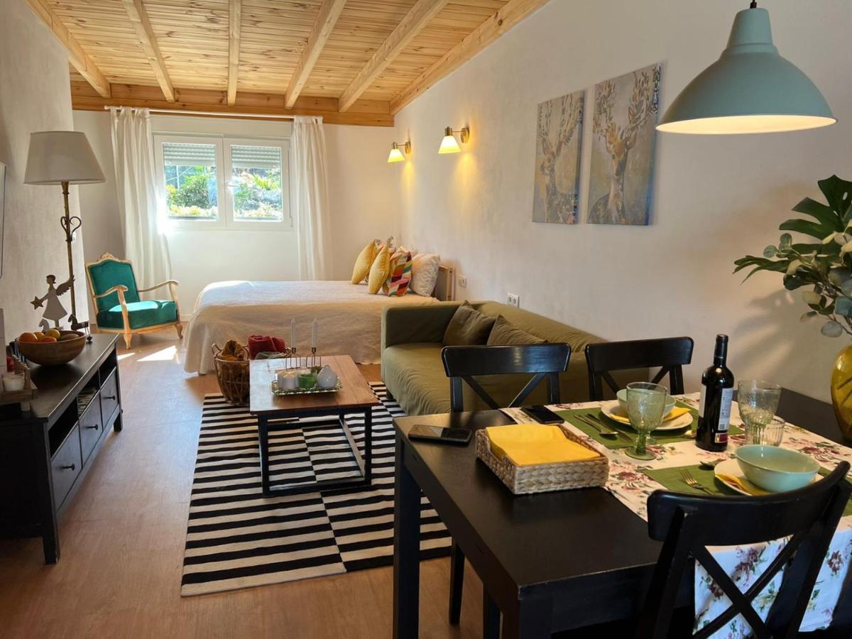 Casa Chano Estudio Confortable Tenerife Icod De Los Vinos Exteriér fotografie