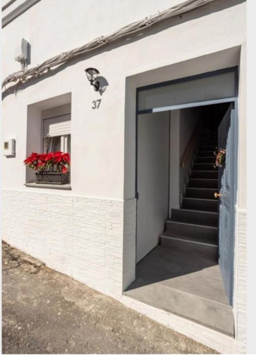 Casa Chano Estudio Confortable Tenerife Icod De Los Vinos Exteriér fotografie